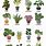 Tropical Plants List