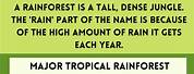 Tropical Rainforest Trees List