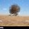 Tumbleweed in Desert