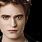 Twilight Cast Edward