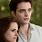 Twilight Saga Edward and Bella