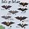 Types of Bats UK