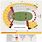 USC Football Coliseum Seating Chart