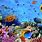 Underwater Ocean Desktop Backgrounds