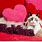 Valentine Cat Background
