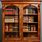 Victorian Bookshelves