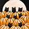 Vintage Halloween Black Cat Pumpkin