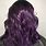 Violet Plum Hair Color