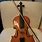 Violin Bow String