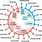 Virus DNA or RNA