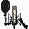 Vocal Recording Microphone