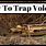 Vole Traps That Work
