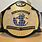 WCW World Title Belt