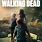 Walking Dead Season 10 Poster