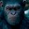 War for the Planet of the Apes Caesar