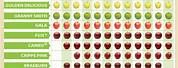 Washington Apple Variety Chart