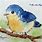 Watercolor Baby Birds