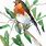 Watercolor Robin