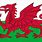 Welsh Flag Vector