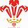 Welsh Rugby Emblem