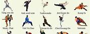 What Are the Different Types of Karate
