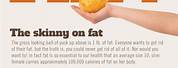 What Does a Pound of Fat Look Like