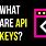 What Is an API Key