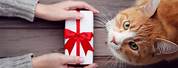 White Cat Gifts