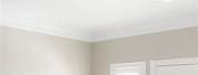 White Ceiling Fan in Bedroom