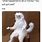 White Monkey Cat Meme