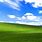 Windows XP Green Wallpaper