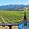 Wineries in Sonoma