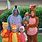 Winnie the Pooh Family Costumes