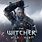 Witcher Game