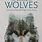 Wolf Novel