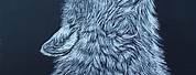 Wolf Scratch Art Drawings