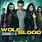 Wolfblood DVD