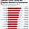 World Covid Stats