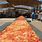 World Record Biggest Pizza