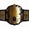 Wrestling Championship Belts