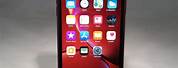 XR Product Red iPhone 64GB