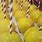Yellow Candy Apples