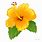 Yellow Hibiscus Flower Clip Art