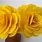 Yellow Paper Flowers