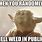 Yoda Meme Weed