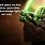 Yoda Words