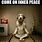 Yoga Dog Meme