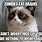 Zombie Grumpy Cat Meme