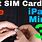 iPad Mini Sim Card