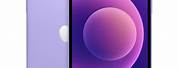 iPhone 12 Pro Max Mini Purple